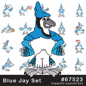 Blue Jay Mascot Clipart #62716 - Illustration by Mascot Junction
